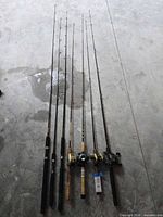 All seven rods with reels laid out showing length, handles and overall condition