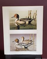 Full view of both 8×10 prints mounted on backing