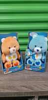 Two Care Bears plush toys in their display boxes side by side