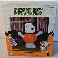 Front of box showing Snoopy inflatable image and branding