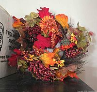 Front view showing grapevine base and autumn leaves with berries