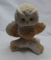 front view showing eyes, feathers, branch base