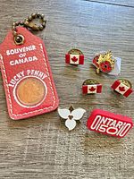 All seven items laid out: keychain, maple leaf poppy pin, Ontario 150 pin, trillium pin, three Canadian flag pins