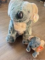 Large and small Ty koala plush toys standing on floor