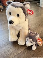 Large and small Ty husky plushes side by side, tags visible