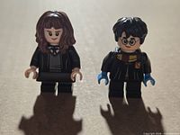 Front view of Harry Potter and Hermione Granger LEGO minifigures