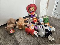 Group shot of all stuffed animals against door