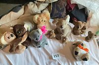 Group shot of all stuffed animals and figurines