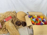 overall lot with hula skirt package, straw hat, coconut bikini shells, box of leis
