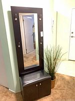 Front view showing mirror, hooks, seat and cabinet