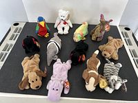 All twelve Beanie Babies laid out on tabletop