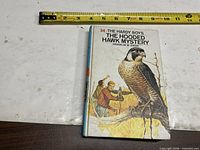 Front cover of The Hardy Boys The Hooded Hawk Mystery showing illustration and title