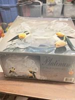 Box showing Platinum 27 piece punch bowl set