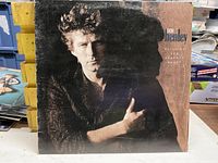 Front cover of Don Henley Building the Perfect Beast LP