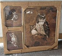 Front view of all three framed owl prints in cardboard protector