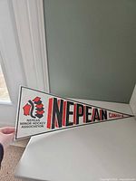 Full view of pennant showing logo and text