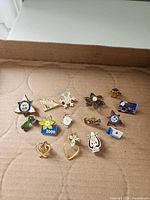 All fifteen lapel pins laid out on cardboard