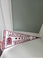 Full view of pennant showing graphics and text