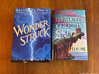 Both hardcover novels side by side showing front covers