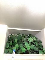 Artificial green leafy plant filling basket on shelf