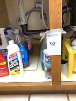 View of Soft Scrub cleanser, Dawn dish soap, I Love My Carpet powder, spray bottle under sink