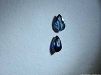 Two pear-cut blue sapphires on neutral background