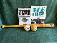 Group shot of bat, two baseballs and two books