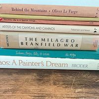 Spines of several books showing titles and authors