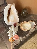 Large conch shell, glass jellyfish ornament, scallop shell dishes and hanging shell garland displayed on brick hearth