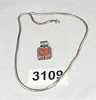 Chain and pendant laid out together