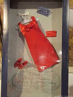 Boxed ensemble showing dress, shoes, purse, earrings and hanger