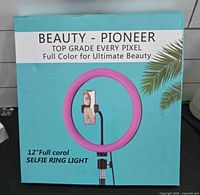 Front of Beauty Pioneer box showing product depiction