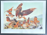 Full view of unframed lithograph showing entire image and margins