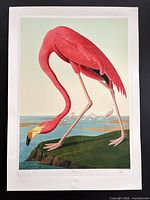 Full view of unframed Flamingo print