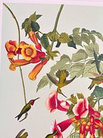 Upper section of print showing hummingbirds and blossoms