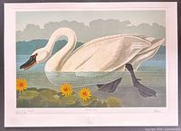 Front view of entire lithograph showing swan and margin details