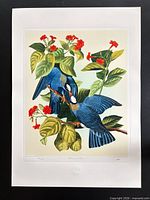 Full view of unframed print with border visible