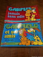Front covers showing both French Garfield comic books
