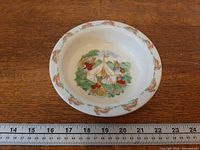 Top view showing full Camping Scene and rabbit border