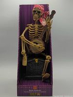 Full view of animatronic skeleton in box