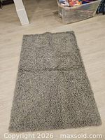Full view of grey shag rug on floor