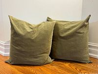 Both sage green velvet pillows side by side