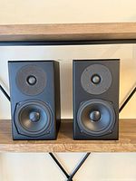 Front view of both Totem Mite speakers