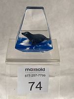 Front view showing seal figure and ice flow within clear lucite prism