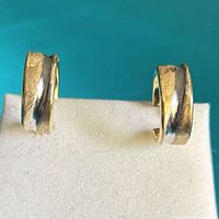 Front view of both hoop earrings showing two-tone design