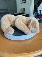 Side view of tan Gund plush puppy lying flat on table, ear tag visible