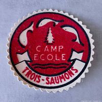 Front view of embroidered patch showing full design and colors