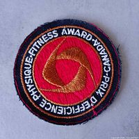 Full view of front of embroidered patch showing design and colors