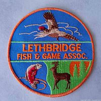 Front view of full patch showing design and colours