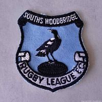 Full view of the embroidered patch showing design and text